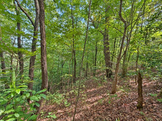 35 Saw Blade Lane, Ellijay, GA 30540
