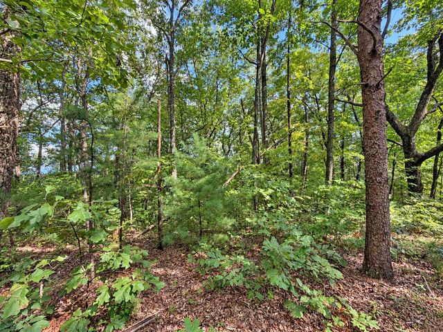 35 Saw Blade Lane, Ellijay, GA 30540