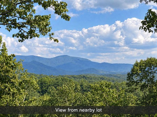 35 Saw Blade Lane, Ellijay, GA 30540