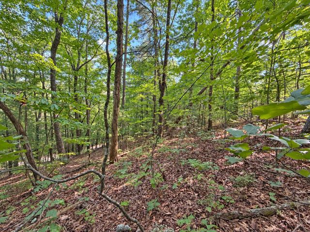35 Saw Blade Lane, Ellijay, GA 30540