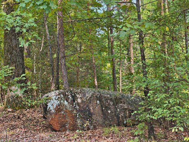 35 Saw Blade Lane, Ellijay, GA 30540