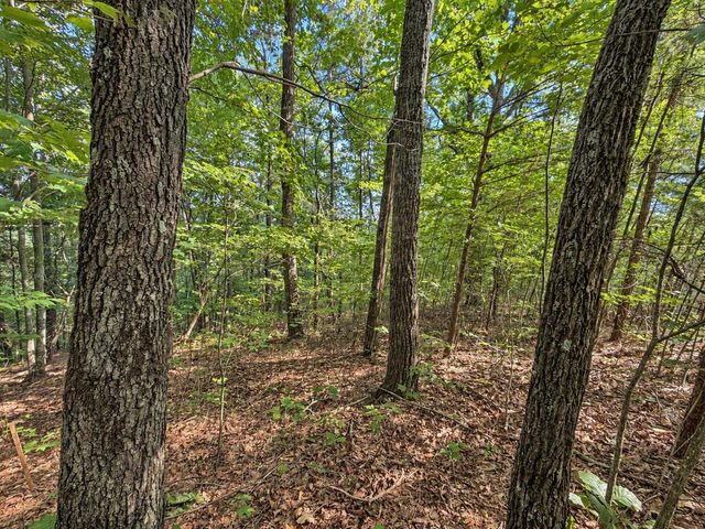 35 Saw Blade Lane, Ellijay, GA 30540