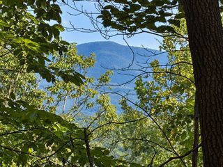 35 Saw Blade Lane, Ellijay, GA 30540