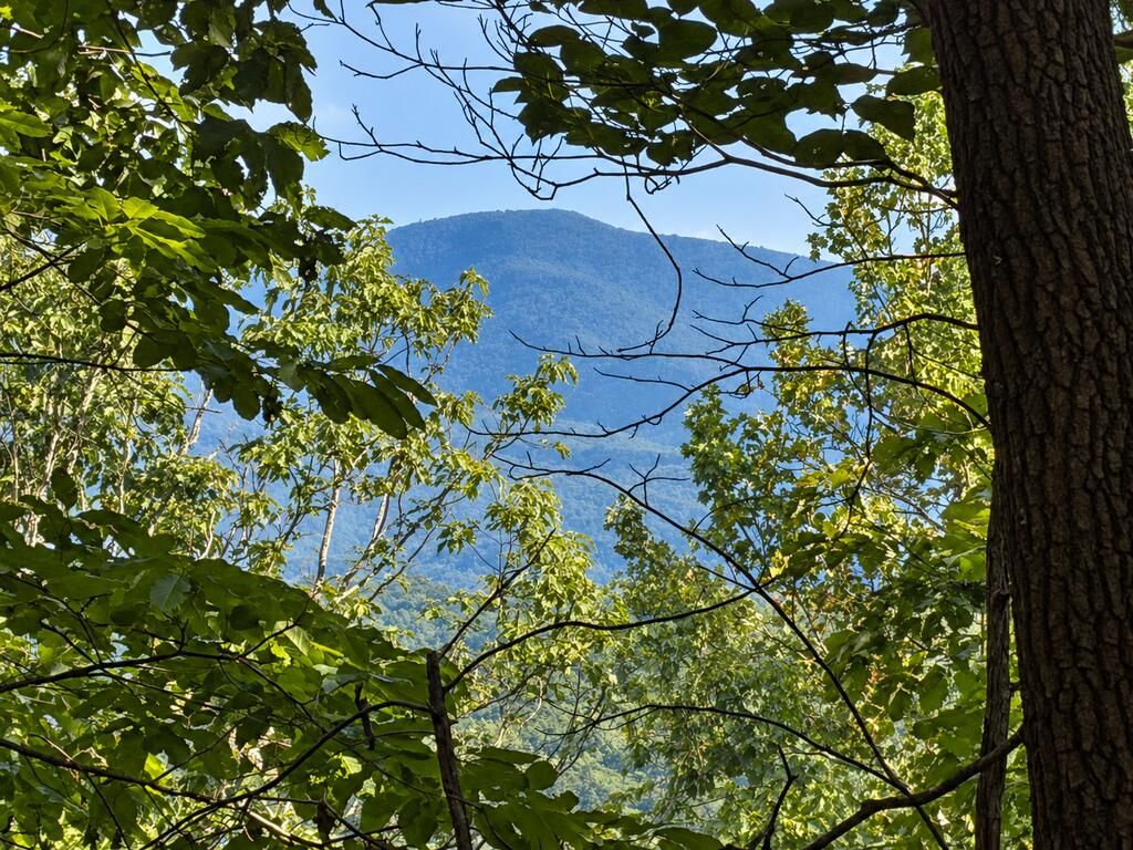 35 Saw Blade Lane, Ellijay, GA 30540