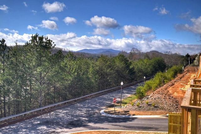 Unit 17 Grove Loop, Blue Ridge, GA 30513