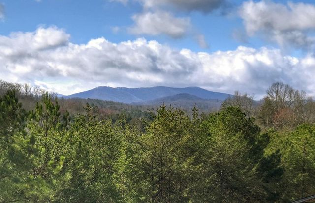 Unit 17 Grove Loop, Blue Ridge, GA 30513