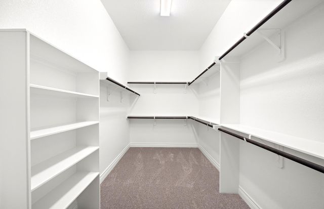 38688 Night Brood Court, Magnolia, TX 77354