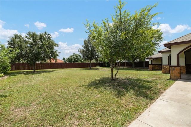 1431 Vida Grande Street, Alamo, TX 78516