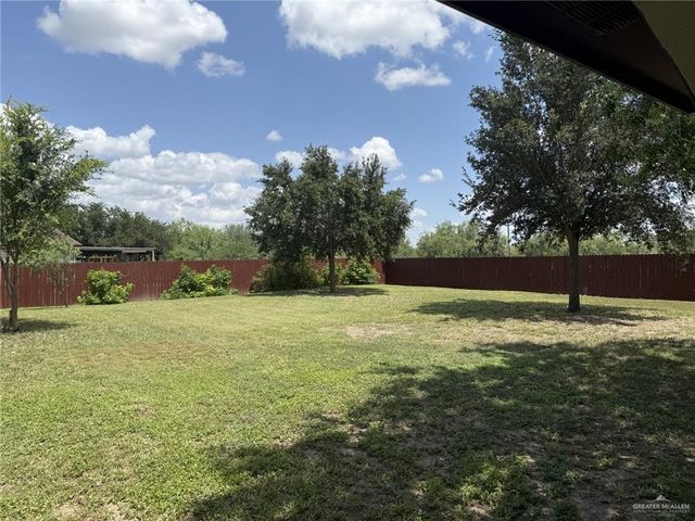 1431 Vida Grande Street, Alamo, TX 78516