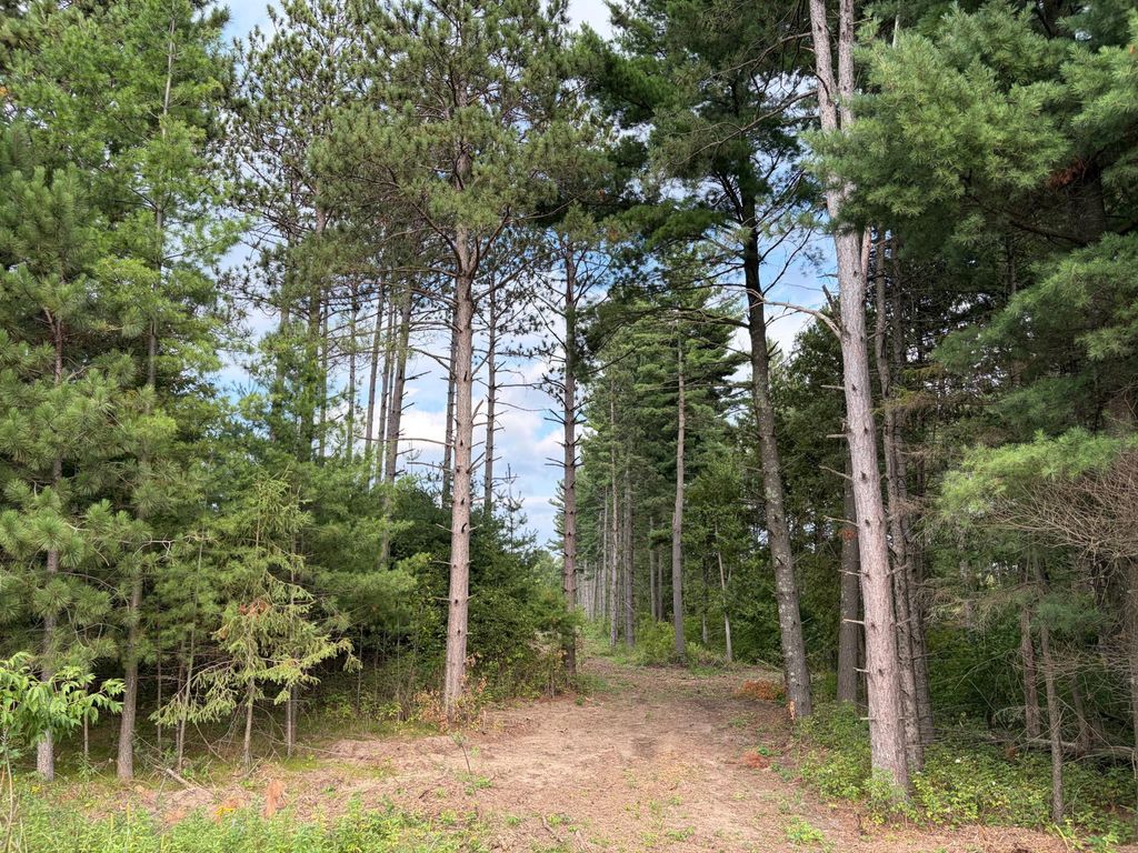 (Lot 5) TBD Tulip Street NW, Stanchfield, MN 55080 — exterior