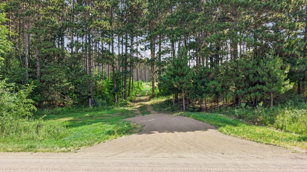 (Lot 5) TBD Tulip Street NW, Stanchfield, MN 55080 — photo 3