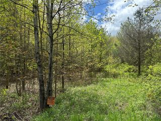 0 Pine Tree Road, Pittsfield, NY 13411