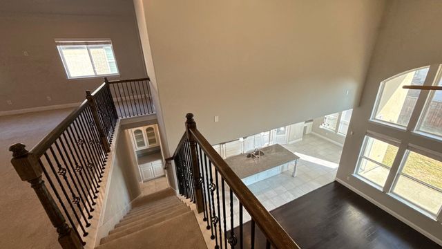 10010 Lucky Debonair Lane, Frisco, TX 75035