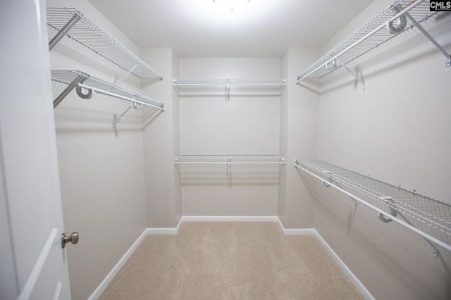 457 Drooping Leaf Road, Lexington, SC 29072