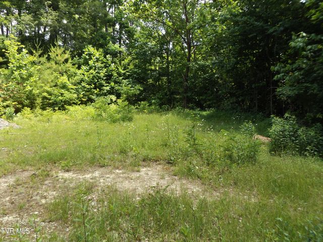 701 Heartwood Lane Lot 2, Butler, TN 37640