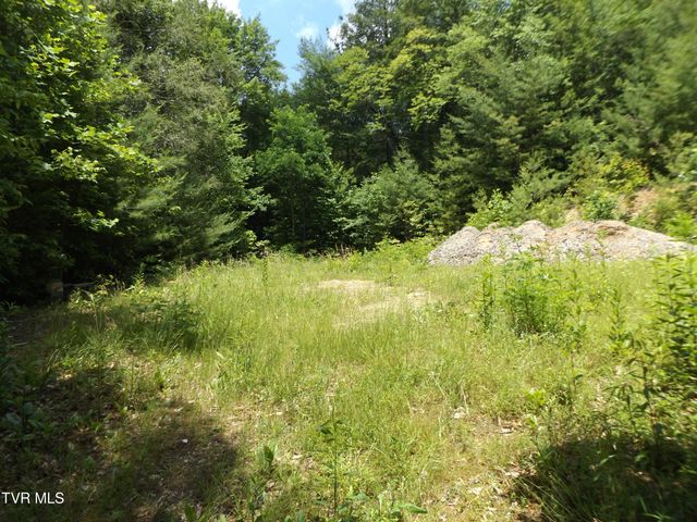 701 Heartwood Lane Lot 2, Butler, TN 37640