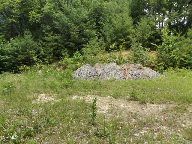 701 Heartwood Lane Lot 2, Butler, TN 37640