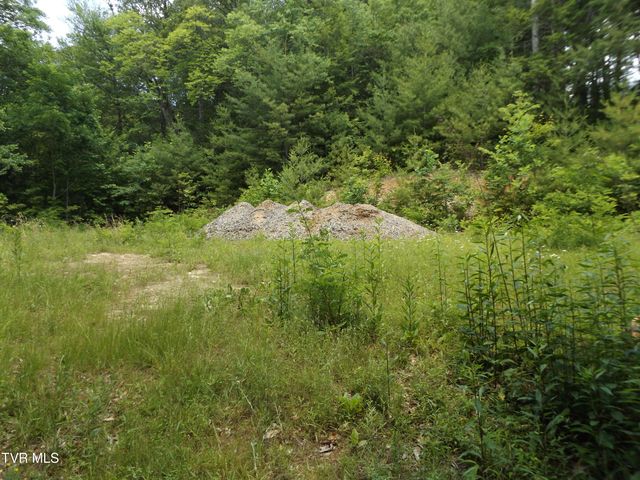701 Heartwood Lane Lot 2, Butler, TN 37640
