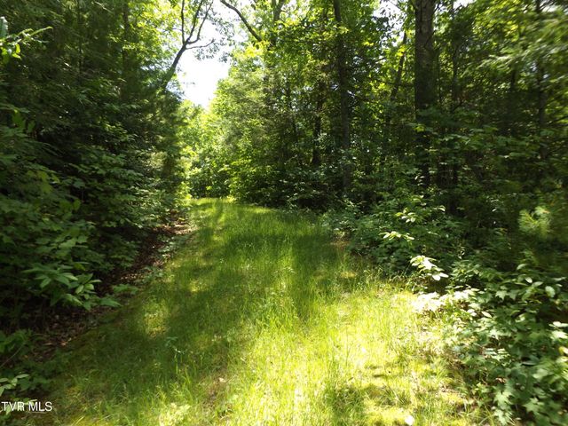701 Heartwood Lane Lot 2, Butler, TN 37640