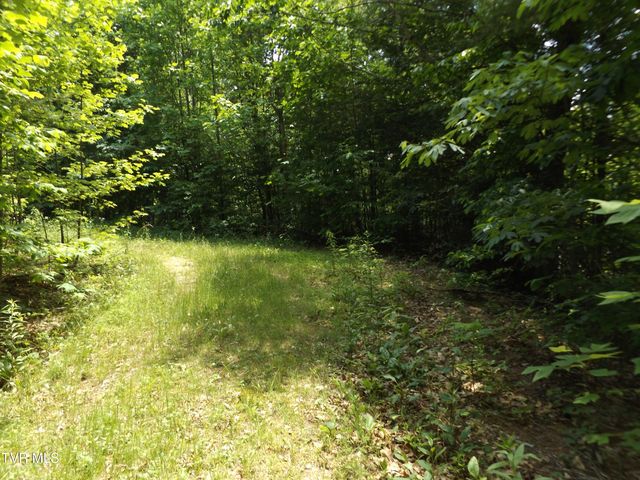 701 Heartwood Lane Lot 2, Butler, TN 37640