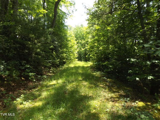 701 Heartwood Lane Lot 2, Butler, TN 37640