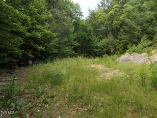 701 Heartwood Lane Lot 2, Butler, TN 37640