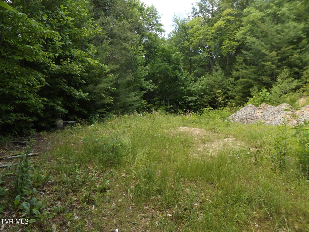 701 Heartwood Lane Lot 2, Butler, TN 37640