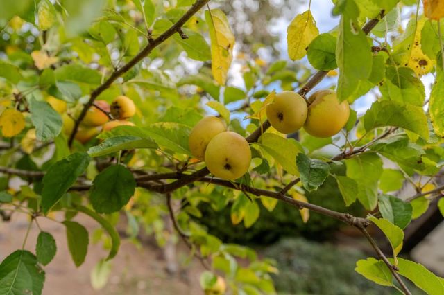 810 Saint Lawrence Drive, Pacifica, CA 94044