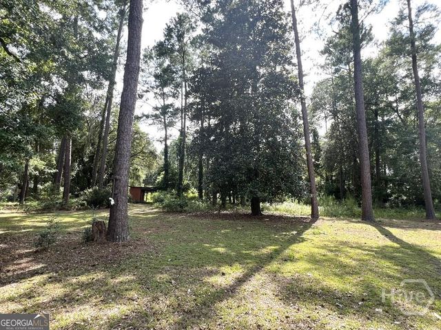 311 N McDonald Street, Ludowici, GA 31316