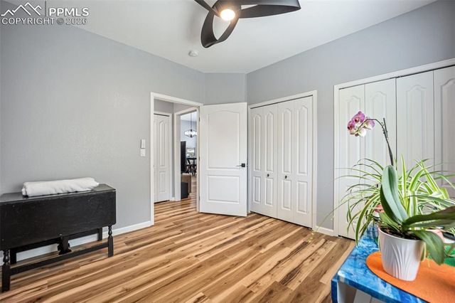 3921 Coral Point, Colorado Springs, CO 80917