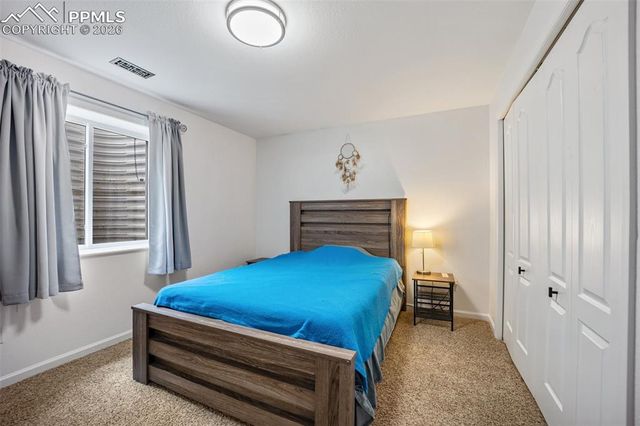 3921 Coral Point, Colorado Springs, CO 80917