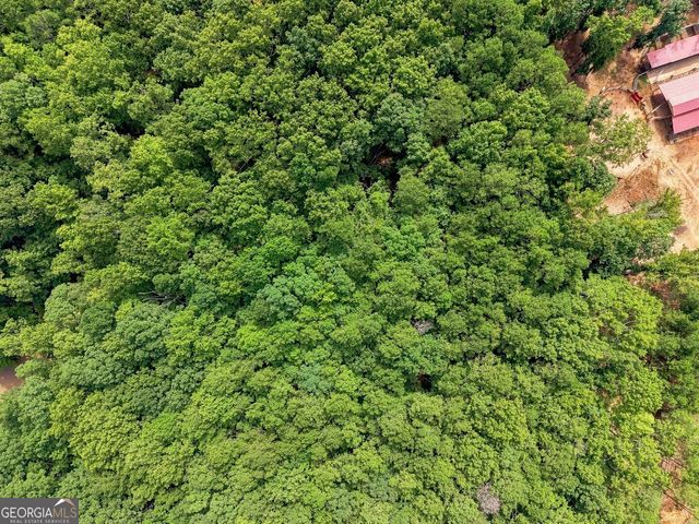 0 Shadow Wood Drive LOT 2, Monroe, GA 30656