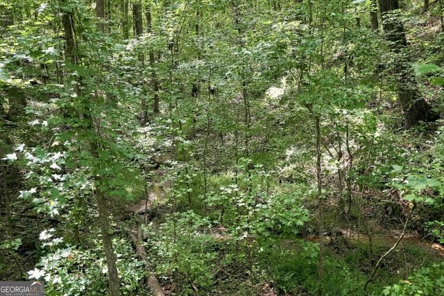 0 Shadow Wood Drive LOT 2, Monroe, GA 30656