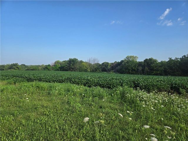 14625 Shady Lane, Wellington, MO 64097