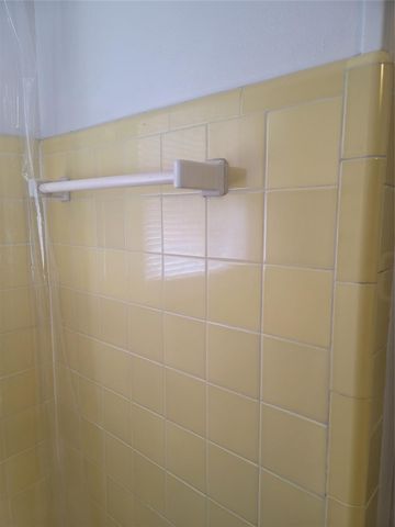 1914 Binz Street C, Houston, TX 77004