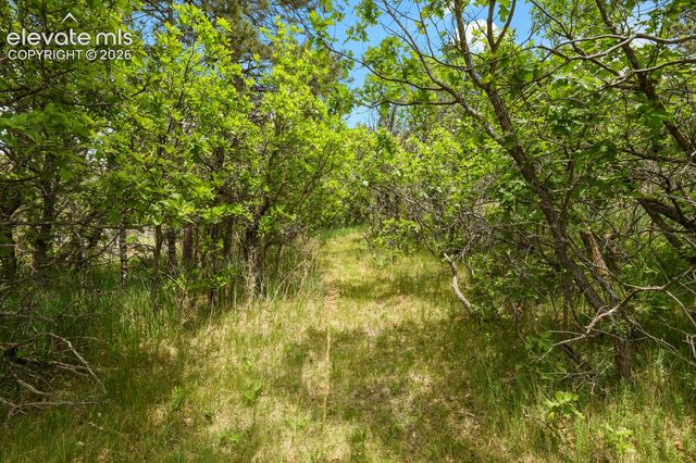 19220 Wakonda Way, Monument, CO 80132