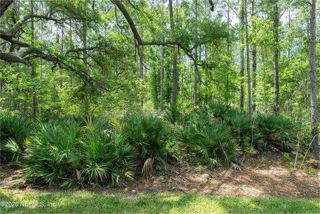 339 SPRING LINE Drive, St. Johns, FL 32259