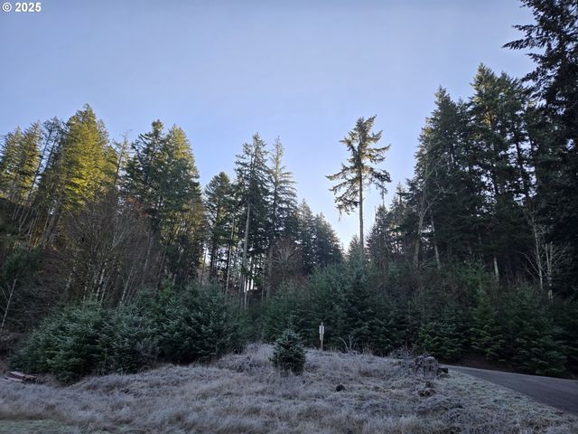 Nw Ranch Dr, Banks, OR 97106