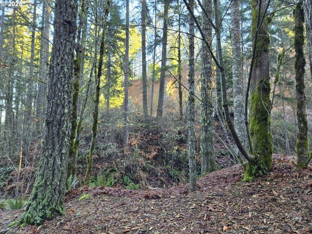 Nw Ranch Dr, Banks, OR 97106