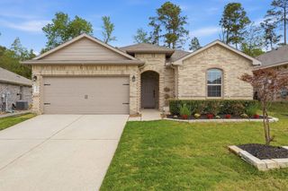 11742 Bari Reef Lane, Conroe, TX 77304