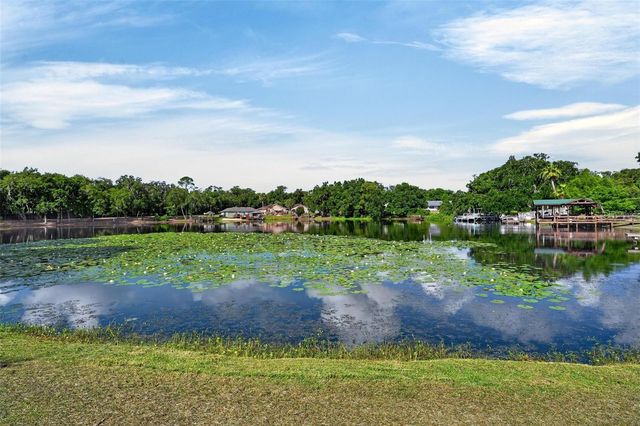 710 TWIN OAKS LANE, Eustis, FL 32726