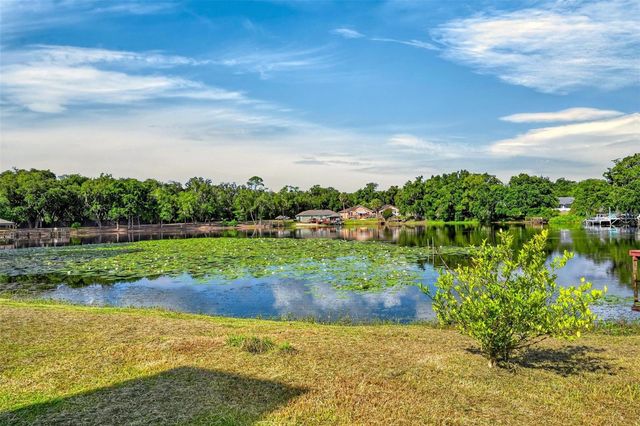 710 TWIN OAKS LANE, Eustis, FL 32726