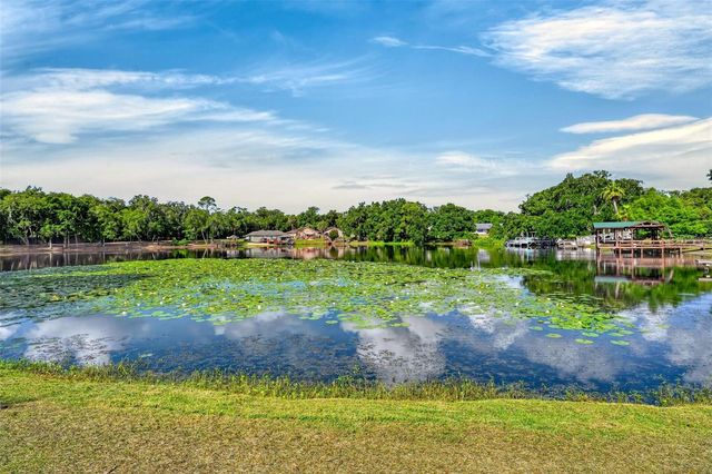 710 TWIN OAKS LANE, Eustis, FL 32726
