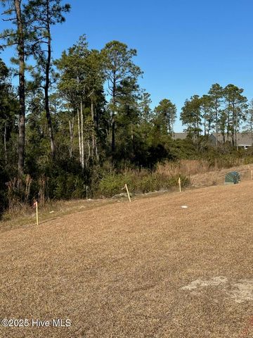 7803 Pennycress Drive 533, Leland, NC 28451