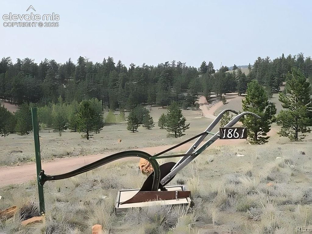 1861 Badger Creek Road, Hartsel, CO 80449 — photo 5