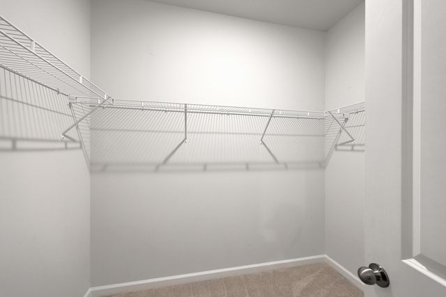 239 W Bradford Pointe Drive, Summerville, SC 29483