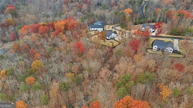 115 Brighton Road, Ball Ground, GA 30107