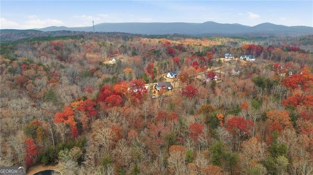 115 Brighton Road, Ball Ground, GA 30107