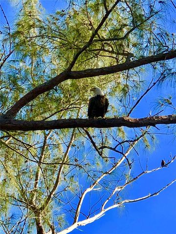 8550 LITTLE GASPARILLA ISLAND, Placida, FL 33946