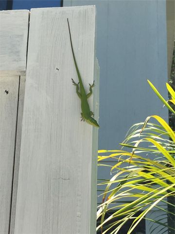 8550 LITTLE GASPARILLA ISLAND, Placida, FL 33946